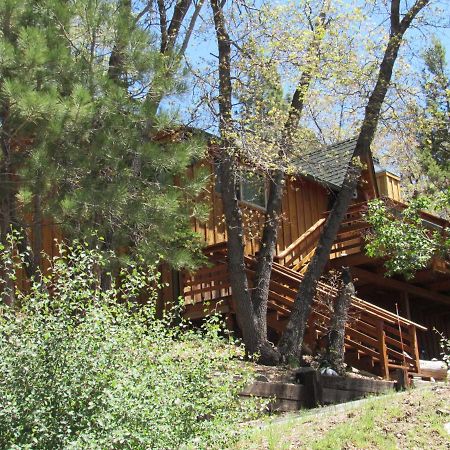 Hillside Hideaway -View Of Ski Slope From Charming Deck Big Bear Lake Buitenkant foto
